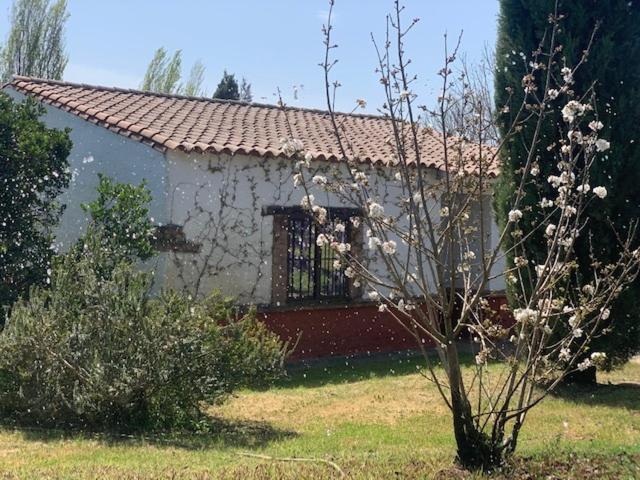 Hotel El Pueblo De Leo Badajoz Zewnętrze zdjęcie